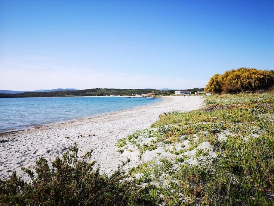 Monolocale A Due Passi Dal Mare Leilighet Olbia Eksteriør bilde